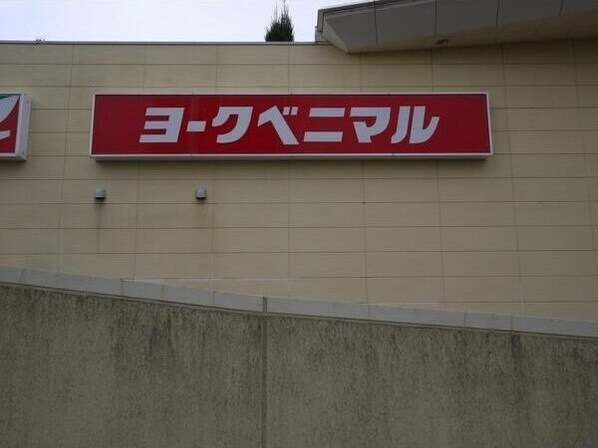 ラフィネ小鶴新田の物件内観写真